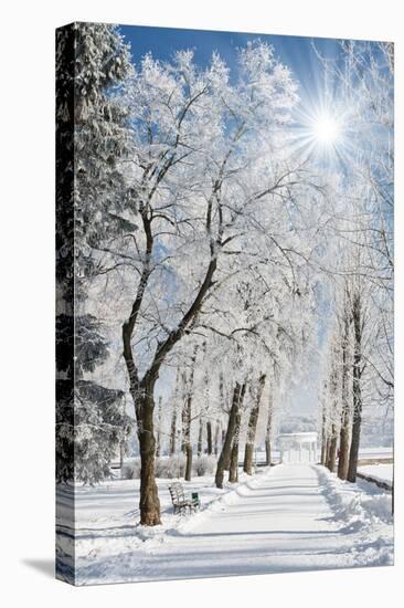 Beautiful Winter Landscape with Snow Covered Trees-Leonid Tit-Stretched Canvas