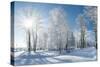 Beautiful Winter Landscape with Snow Covered Trees-Leonid Tit-Stretched Canvas