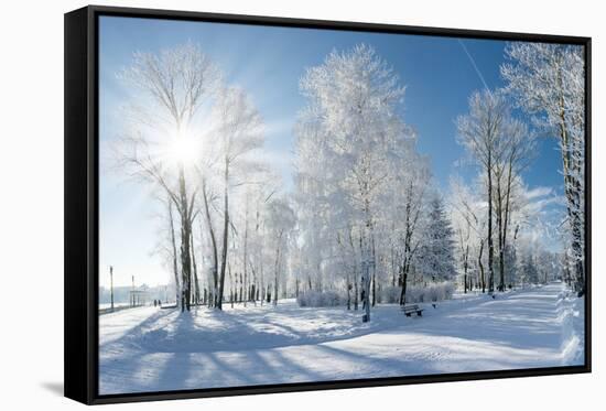 Beautiful Winter Landscape with Snow Covered Trees-Leonid Tit-Framed Stretched Canvas