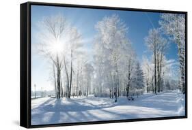 Beautiful Winter Landscape with Snow Covered Trees-Leonid Tit-Framed Stretched Canvas