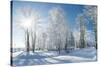 Beautiful Winter Landscape with Snow Covered Trees-Leonid Tit-Stretched Canvas