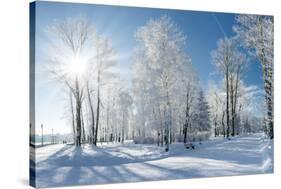 Beautiful Winter Landscape with Snow Covered Trees-Leonid Tit-Stretched Canvas