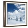 Beautiful Winter Landscape with Snow Covered Trees-Leonid Tit-Framed Premium Photographic Print