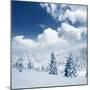 Beautiful Winter Landscape with Snow Covered Trees-Leonid Tit-Mounted Premium Photographic Print