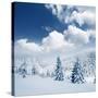 Beautiful Winter Landscape with Snow Covered Trees-Leonid Tit-Stretched Canvas