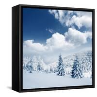 Beautiful Winter Landscape with Snow Covered Trees-Leonid Tit-Framed Stretched Canvas