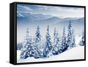 Beautiful Winter Landscape with Snow Covered Trees-Leonid Tit-Framed Stretched Canvas