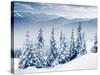 Beautiful Winter Landscape with Snow Covered Trees-Leonid Tit-Stretched Canvas