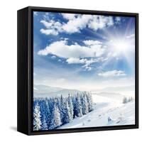 Beautiful Winter Landscape with Snow Covered Trees-Leonid Tit-Framed Stretched Canvas