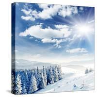 Beautiful Winter Landscape with Snow Covered Trees-Leonid Tit-Stretched Canvas