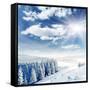 Beautiful Winter Landscape with Snow Covered Trees-Leonid Tit-Framed Stretched Canvas