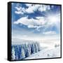 Beautiful Winter Landscape with Snow Covered Trees-Leonid Tit-Framed Stretched Canvas