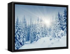 Beautiful Winter Landscape with Snow Covered Trees-Leonid Tit-Framed Stretched Canvas