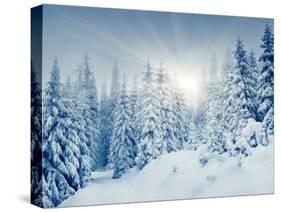 Beautiful Winter Landscape with Snow Covered Trees-Leonid Tit-Stretched Canvas