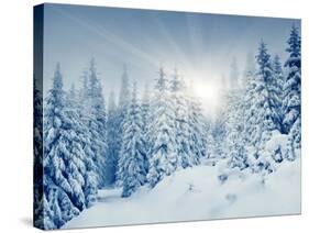 Beautiful Winter Landscape with Snow Covered Trees-Leonid Tit-Stretched Canvas