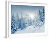 Beautiful Winter Landscape with Snow Covered Trees-Leonid Tit-Framed Premium Photographic Print