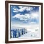 Beautiful Winter Landscape with Snow Covered Trees-Leonid Tit-Framed Photographic Print