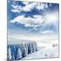 Beautiful Winter Landscape with Snow Covered Trees-Leonid Tit-Mounted Photographic Print