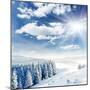 Beautiful Winter Landscape with Snow Covered Trees-Leonid Tit-Mounted Photographic Print
