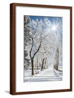 Beautiful Winter Landscape with Snow Covered Trees-Leonid Tit-Framed Photographic Print