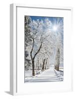 Beautiful Winter Landscape with Snow Covered Trees-Leonid Tit-Framed Photographic Print