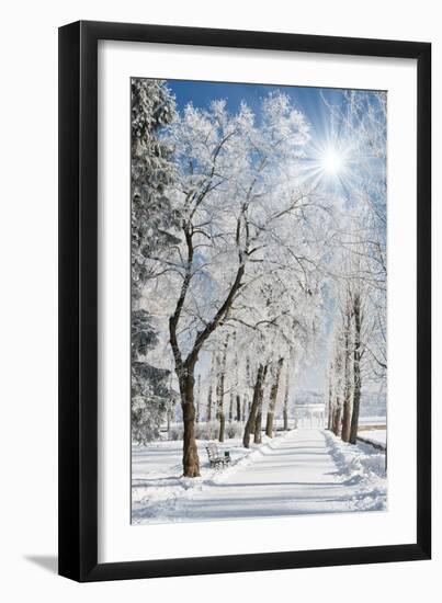 Beautiful Winter Landscape with Snow Covered Trees-Leonid Tit-Framed Photographic Print