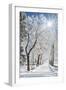 Beautiful Winter Landscape with Snow Covered Trees-Leonid Tit-Framed Photographic Print