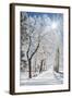 Beautiful Winter Landscape with Snow Covered Trees-Leonid Tit-Framed Photographic Print