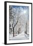 Beautiful Winter Landscape with Snow Covered Trees-Leonid Tit-Framed Photographic Print