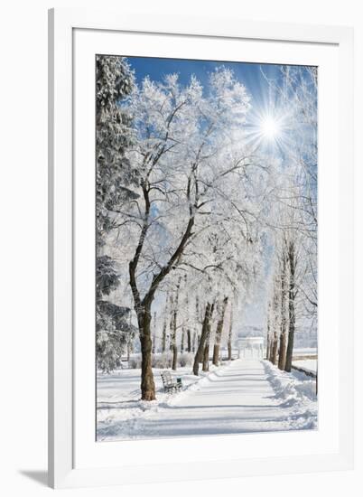 Beautiful Winter Landscape with Snow Covered Trees-Leonid Tit-Framed Photographic Print