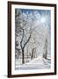 Beautiful Winter Landscape with Snow Covered Trees-Leonid Tit-Framed Photographic Print