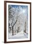 Beautiful Winter Landscape with Snow Covered Trees-Leonid Tit-Framed Photographic Print