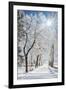 Beautiful Winter Landscape with Snow Covered Trees-Leonid Tit-Framed Photographic Print