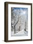 Beautiful Winter Landscape with Snow Covered Trees-Leonid Tit-Framed Photographic Print