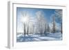 Beautiful Winter Landscape with Snow Covered Trees-Leonid Tit-Framed Photographic Print