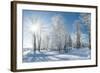 Beautiful Winter Landscape with Snow Covered Trees-Leonid Tit-Framed Photographic Print