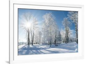 Beautiful Winter Landscape with Snow Covered Trees-Leonid Tit-Framed Photographic Print