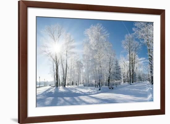 Beautiful Winter Landscape with Snow Covered Trees-Leonid Tit-Framed Photographic Print