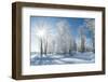 Beautiful Winter Landscape with Snow Covered Trees-Leonid Tit-Framed Photographic Print