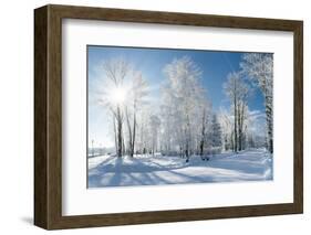 Beautiful Winter Landscape with Snow Covered Trees-Leonid Tit-Framed Photographic Print