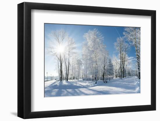 Beautiful Winter Landscape with Snow Covered Trees-Leonid Tit-Framed Photographic Print