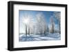 Beautiful Winter Landscape with Snow Covered Trees-Leonid Tit-Framed Photographic Print