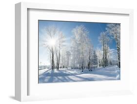 Beautiful Winter Landscape with Snow Covered Trees-Leonid Tit-Framed Photographic Print