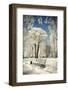 Beautiful Winter Landscape with Snow Covered Trees-Leonid Tit-Framed Photographic Print