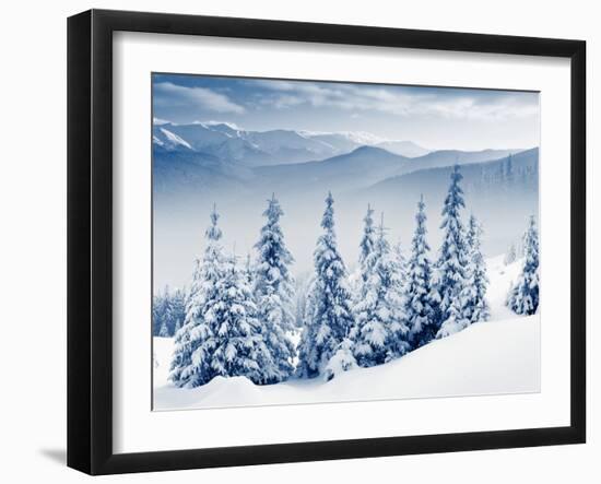 Beautiful Winter Landscape with Snow Covered Trees-Leonid Tit-Framed Photographic Print