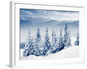 Beautiful Winter Landscape with Snow Covered Trees-Leonid Tit-Framed Photographic Print