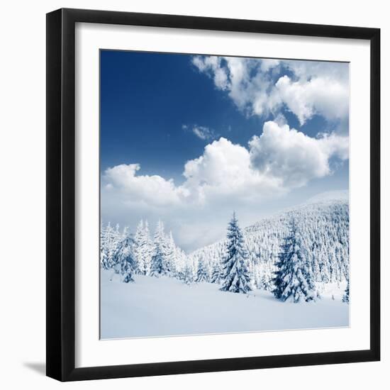 Beautiful Winter Landscape with Snow Covered Trees-Leonid Tit-Framed Photographic Print