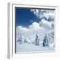 Beautiful Winter Landscape with Snow Covered Trees-Leonid Tit-Framed Photographic Print