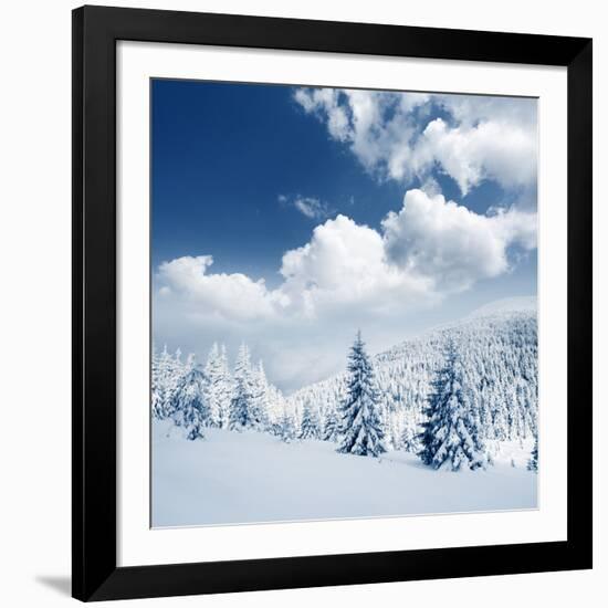 Beautiful Winter Landscape with Snow Covered Trees-Leonid Tit-Framed Photographic Print