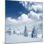 Beautiful Winter Landscape with Snow Covered Trees-Leonid Tit-Mounted Photographic Print